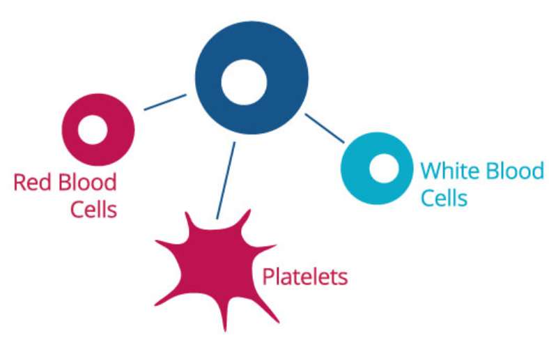 The Future of Regenerative Medicine: The Role of Cord Blood